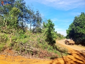 Phát hiện nhiều sổ đỏ cấp cho người dân chồng lên đất rừng ở Đắk Nông