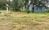 UBND phường Long Phước thông tin về vụ việc “nhảy dù” chiếm đất, gây mất an ninh trật tự