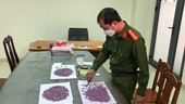 4000 viên thuốc lắc ngụy trang được chuyển từ Hà Nội vào Đà Nẵng