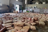 Phát hiện cơ sở chế biến lòng lợn đã phân huỷ tại Quảng Ninh