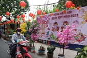 Hẻm nhỏ ở TP HCM trang trí ‘đường hoa mini’ rực rỡ đón Tết