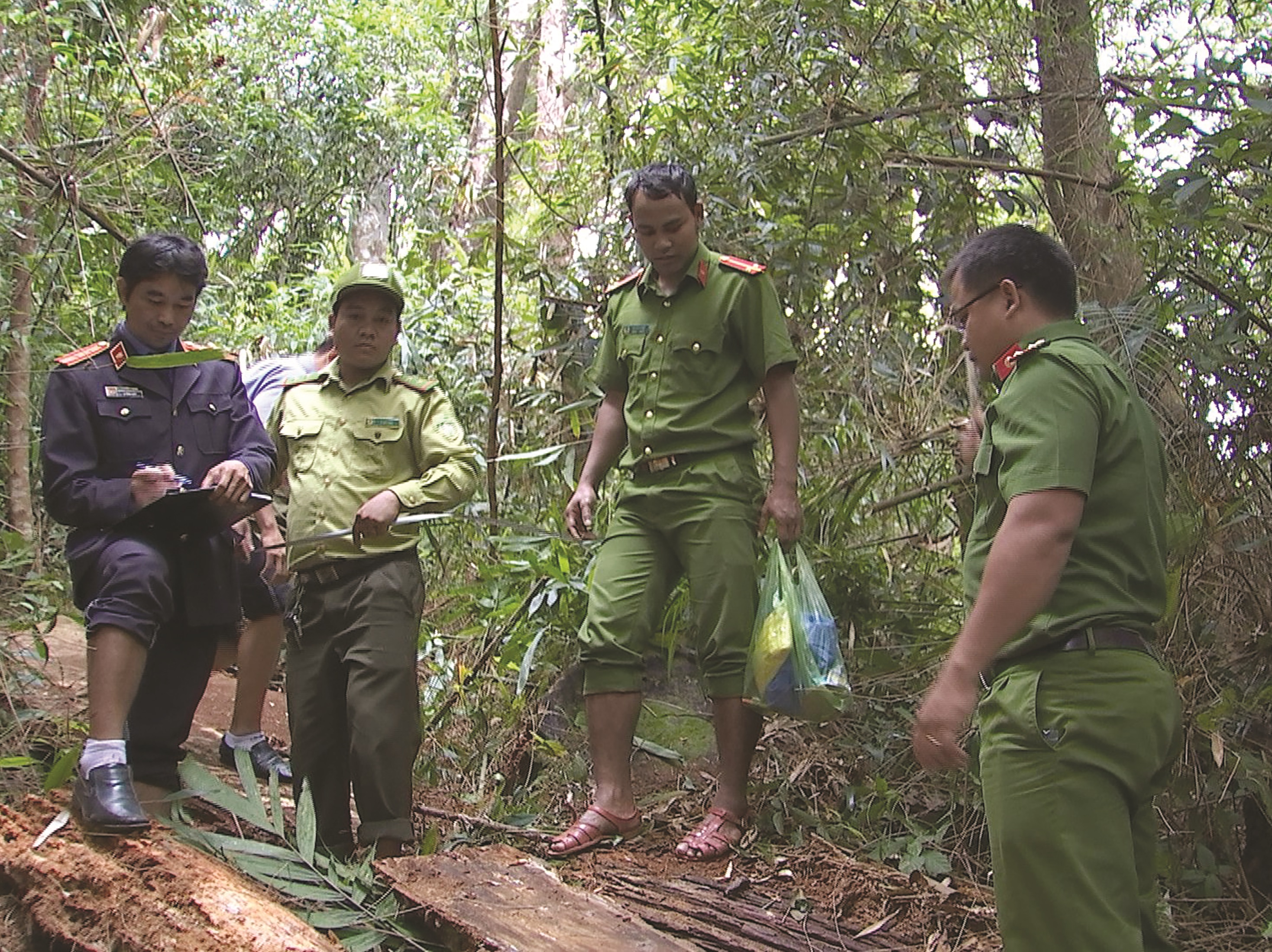 Người gieo mầm thiện