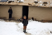 Tuyết phủ trắng Afghanistan, 78 người chết cóng