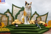 Đà Nẵng tặng linh vật mèo tại đường hoa Xuân cho các trường mầm non ở nông thôn