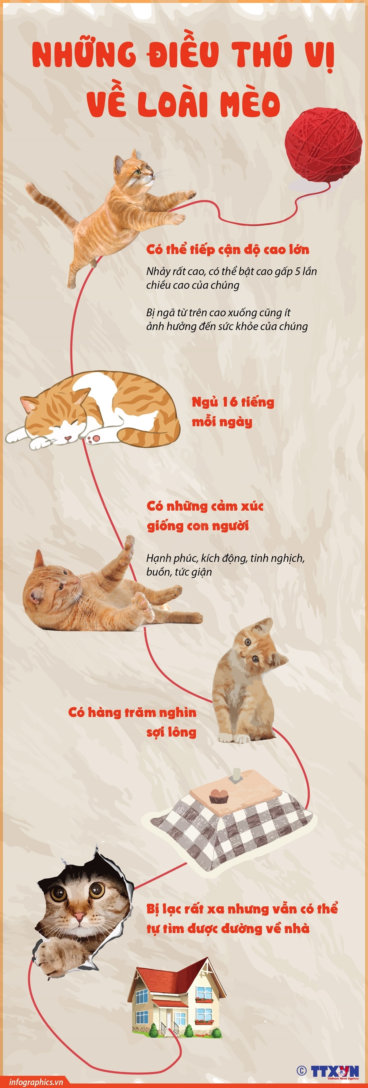 ảnh slide