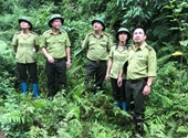 Chi cục Kiểm lâm Thái Nguyên Tăng cường công tác bảo vệ và phát triển rừng