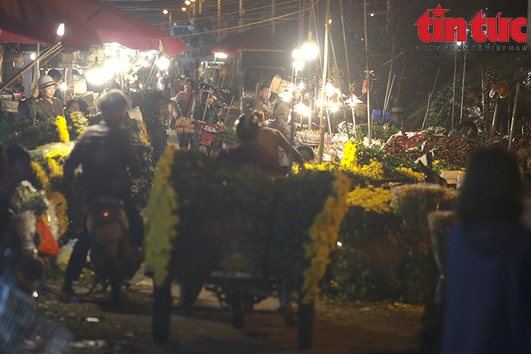 Nhộn nhịp chợ hoa Quảng Bá ngày lễ tình nhân