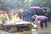 Kiểm sát việc tiêu hủy hơn 60kg ma tuý trong 6 vụ án tại Hưng Yên