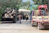 Khởi tố vụ án liên quan vụ phá rừng phòng hộ tại Đồng Nai