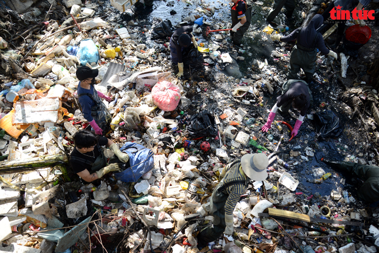 Mang lại sự sống cho những dòng kênh ở TP Hồ Chí Minh