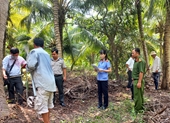 Kiểm sát việc cưỡng chế thi hành án giao quyền sử dụng đất tại huyện Càng Long