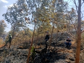 Cháy rừng ở Kon Tum, hai người tử vong thương tâm
