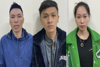 Triệt phá đường dây ma túy liên tỉnh