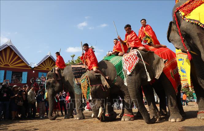 Đặc sắc Hội voi Buôn Đôn