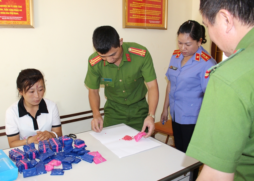 Thực hiện kết luận đối với kết quả pháp điển đề mục “Tố tụng hình sự”