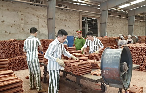 Nghị định về thí điểm mô hình tổ chức hoạt động lao động, dạy nghề cho phạm nhân ngoài trại giam