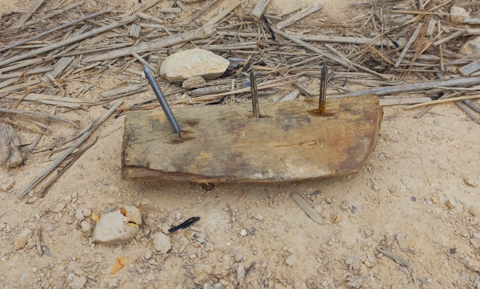 Lâm tặc rải đinh “bẫy” nhân viên, cán bộ bảo vệ rừng ở Đắk Nông