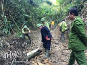 Kiến nghị Chủ tịch UBND huyện Lang Chánh tăng cường công tác quản lý, bảo vệ rừng