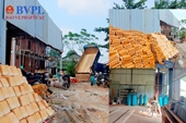 Dừng hoạt động cơ sở sản xuất gạch ngói cung cấp sản phẩm trùng tu dự án trọng điểm tại Thừa Thiên Huế