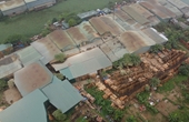 Hà Nội quyết dẹp tình trạng cho thuê đất nông nghiệp, đất công trái quy định