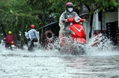 TP Hồ Chí Minh Nhiều tuyến đường chìm trong biển nước trong cơn mưa lớn đầu mùa