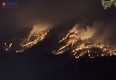 Cháy lớn ở rừng thông cách TP Đà Lạt 10km