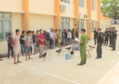Bắt giữ 34 đối tượng đá gà ăn tiền quy mô lớn ở Đắk Lắk