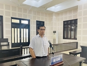 Tổ chức cho người nước ngoài ở lại Việt Nam trái phép, lãnh án 4 năm tù