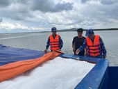 Bắt giữ tàu chở 520 tấn phân bón bất hợp pháp tại vùng biển Côn Đảo