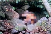 Phát hiện thi thể người phụ nữ đang phân hủy trong rừng ở Gia Lai