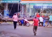 Diễn biến mới vụ cây xanh đổ đè một người phụ nữ đang đi xe máy bị thương nặng