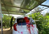 Xe ô tô gia đình phóng viên báo Tuổi Trẻ tại Đắk Lắk bị tạt sơn