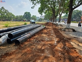 Yêu cầu dừng thi công lắp đặt ống cấp nước ở TP Buôn Ma Thuột vì làm đứt rễ nhiều cây xanh