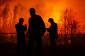 Cháy rừng hoành hành ở tây nam Siberia, Nga, ít nhất 21 người thiệt mạng