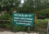 Hà Nội cấm hoạt động trải nghiệm tự phát tại các trường học sau sự cố tại Vườn quốc gia Xuân Thuỷ