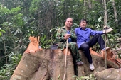Quyết liệt đấu tranh tội phạm vi phạm pháp luật trong công tác quản lý bảo vệ rừng