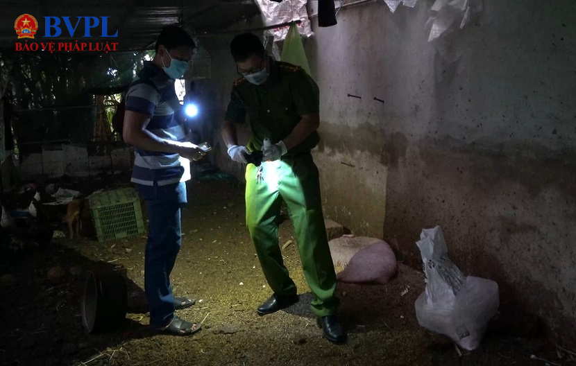 Phê chuẩn khởi tố, bắt tạm giam người đàn ông giết vợ “hờ”