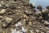 Phát hiện nhiều quả đạn pháo ở hạ lưu Sông Đà khi nước cạn