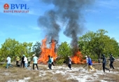 Kiểm lâm Quảng Nam nói gì xung quanh vụ đốt rừng phòng hộ” để diễn tập chữa cháy