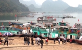 Khởi tố vụ án, khởi tố bị can đối với Giám đốc bến cảng du lịch Thung Nai về tội “Trốn thuế”