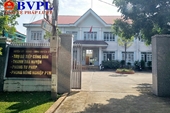 Cách chức Trưởng phòng Tư pháp ở Đắk Nông vì trộm cắp cây hoa giấy