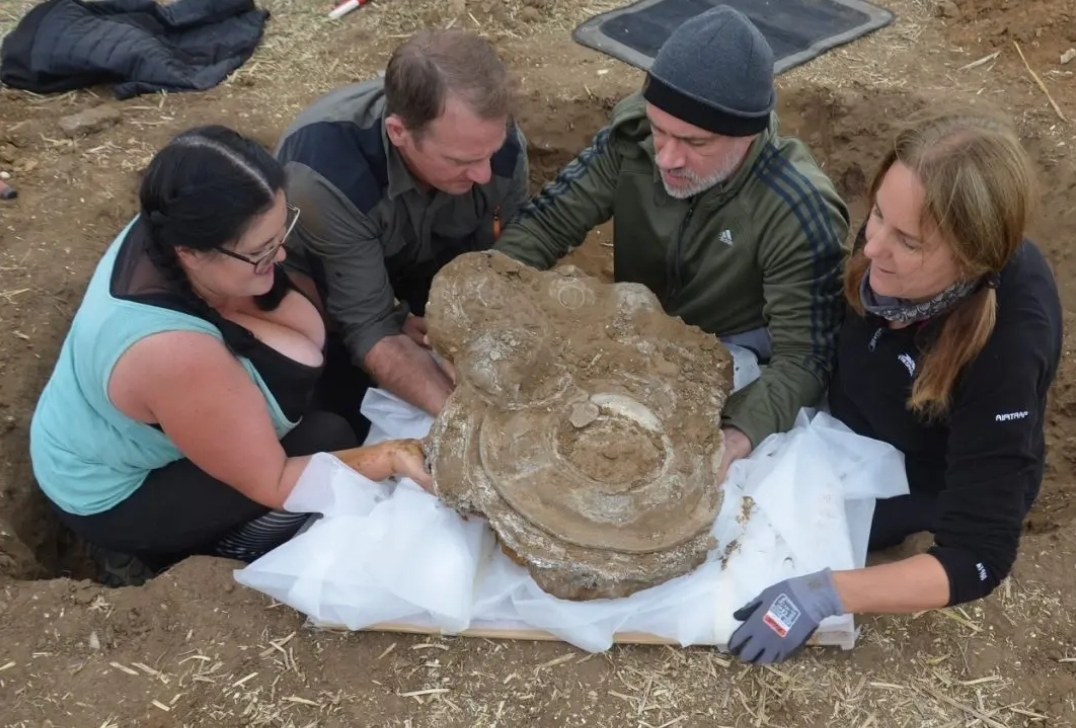 Phát hiện kho báu từ thời La Mã cổ đại trong khuôn viên điền trang