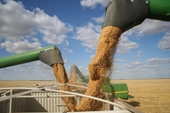 Nga xác nhận khả năng đạt thỏa thuận ngũ cốc mới với Thổ Nhĩ Kỳ