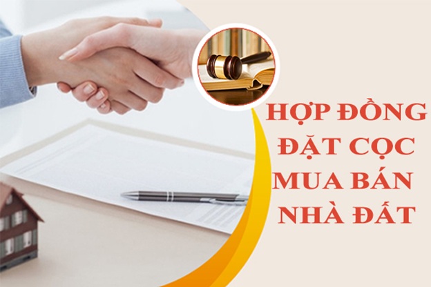 Bài học từ một vụ án tranh chấp hợp đồng đặt cọc giao dịch bất động sản