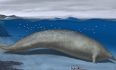 Phát hiện sinh vật cổ đại khổng lồ lớn hơn cả cá voi xanh