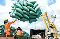 Đảm bảo xuất khẩu và an ninh lương thực trước diễn biến phức tạp của thị trường gạo toàn cầu