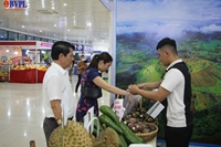 300 gian hàng tham gia Hội chợ quốc tế EWEC Đà Nẵng 2023
