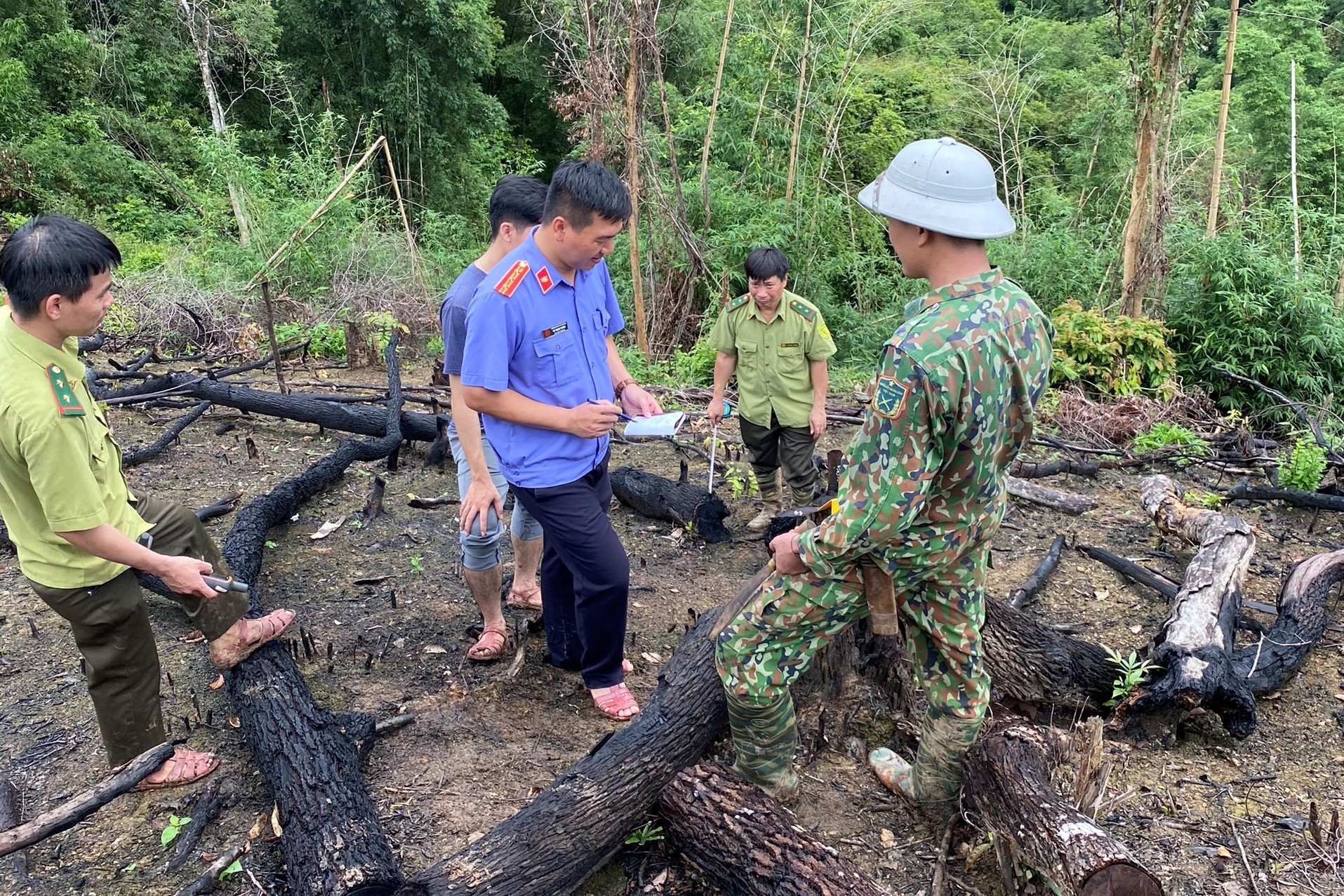 Kiểm sát việc khám nghiệm hiện trường vụ án hủy hoại rừng