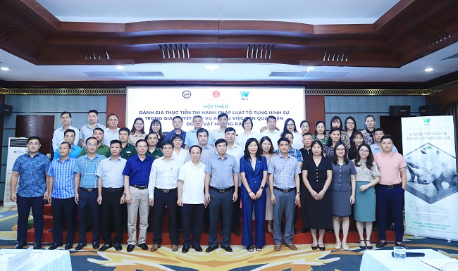 Thực tiễn giải quyết các vụ án, vụ việc liên quan đến động vật hoang dã