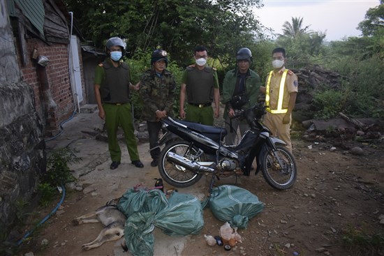 Phê chuẩn khởi tố 2 đạo chích bắt trộm hơn 1 tạ chó